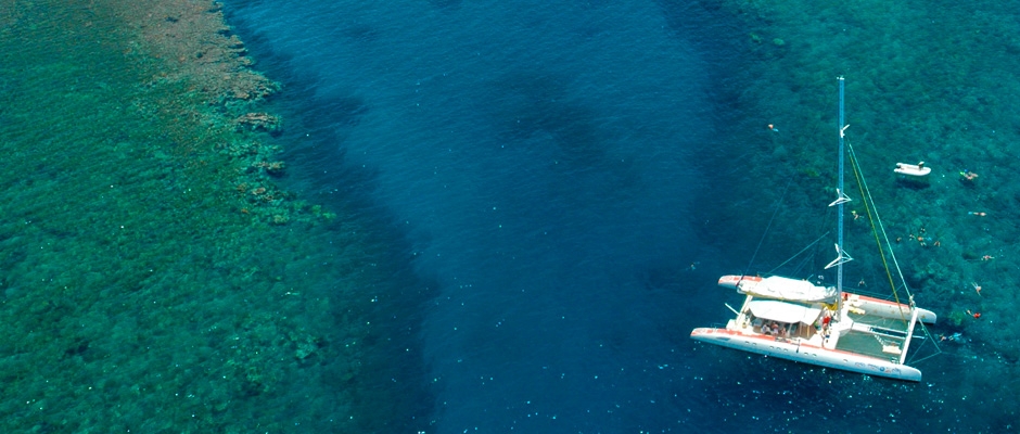 Catamaran tour in the Dominican Republic